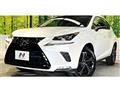 2019 Lexus NX