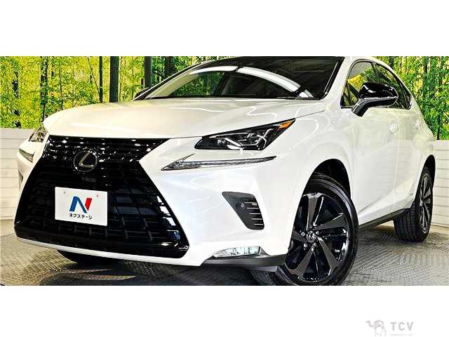 2019 Lexus NX