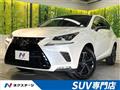 2019 Lexus NX
