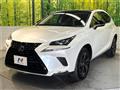 2019 Lexus NX