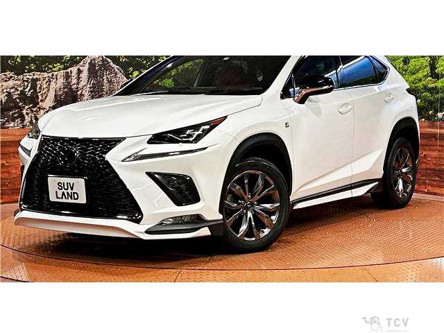 2019 Lexus NX