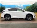 2019 Lexus NX