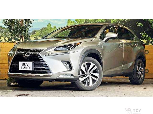 2018 Lexus NX