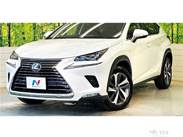2018 Lexus NX