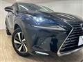 2018 Lexus NX