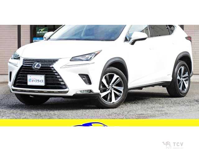 2017 Lexus NX