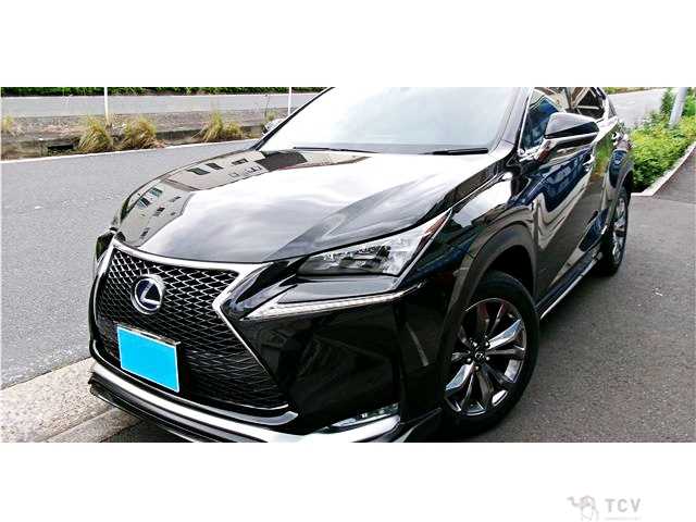 2015 Lexus NX