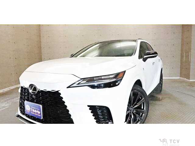 2025 Lexus RX