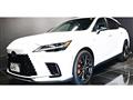 2025 Lexus RX