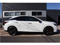 2025 Lexus RX