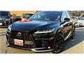 2025 Lexus RX