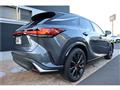 2025 Lexus RX