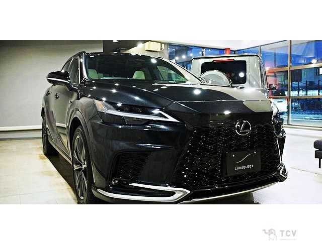 2025 Lexus RX