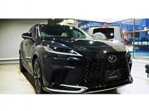 2025 Lexus RX