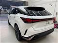 2025 Lexus RX