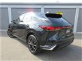 2025 Lexus RX