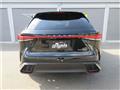 2025 Lexus RX