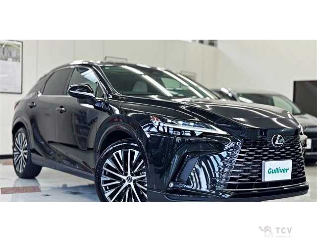 2025 Lexus RX