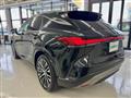 2025 Lexus RX