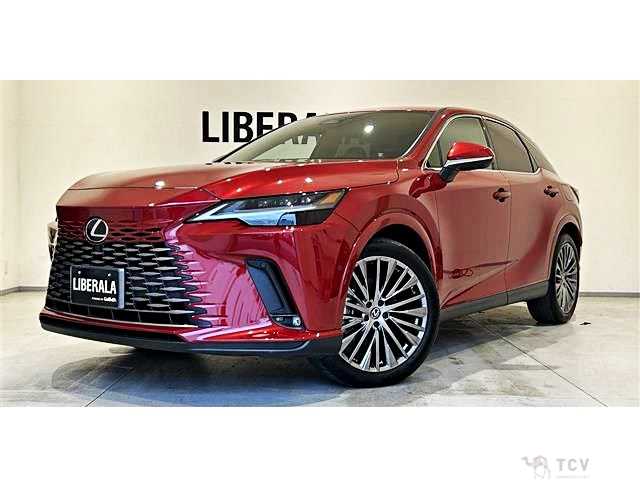 2024 Lexus RX
