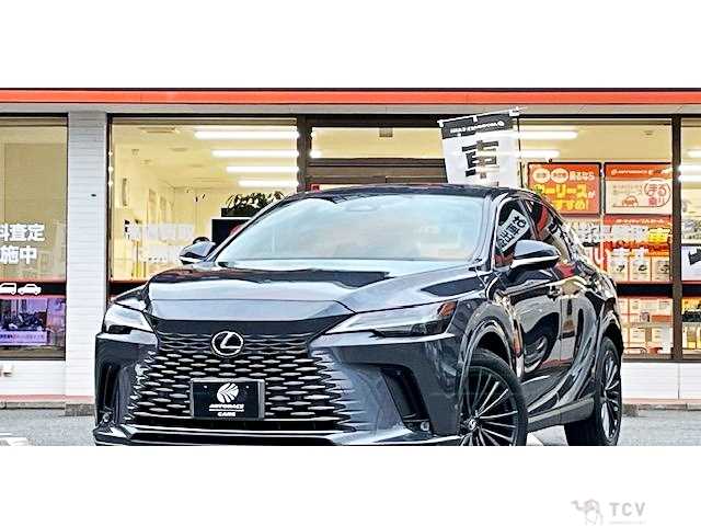2024 Lexus RX