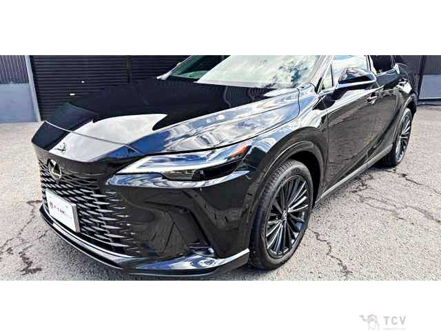 2024 Lexus RX