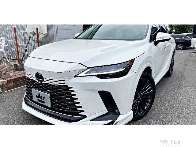 2024 Lexus RX