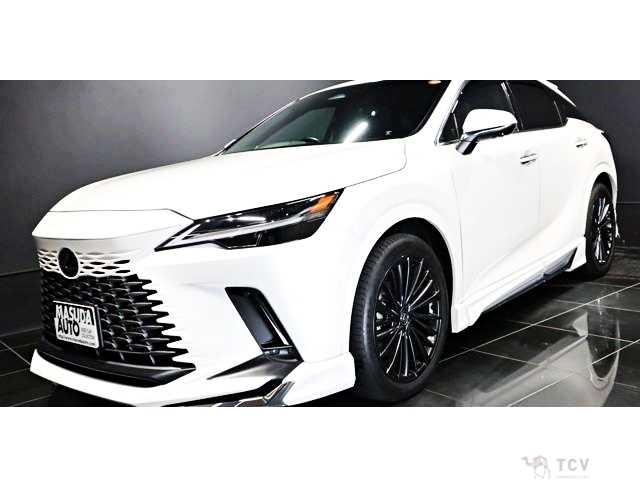 2024 Lexus RX