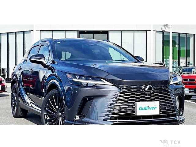 2024 Lexus RX