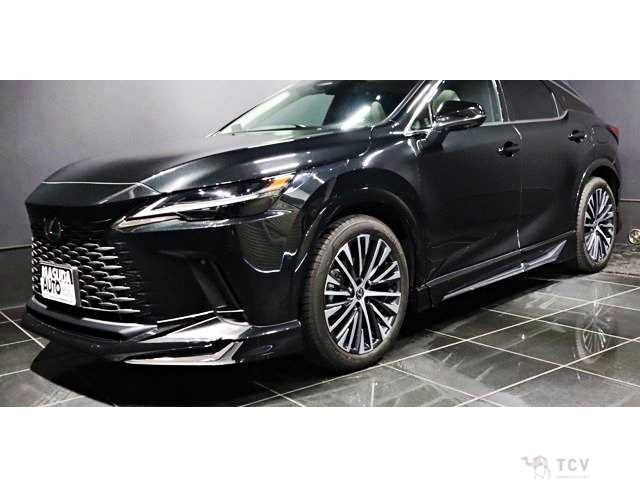 2023 Lexus RX