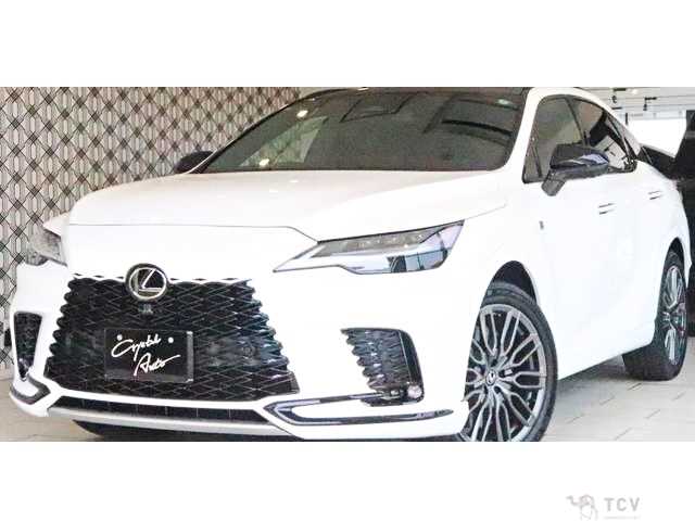2023 Lexus RX