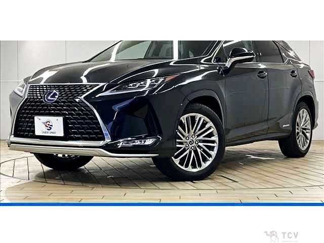 2019 Lexus RX