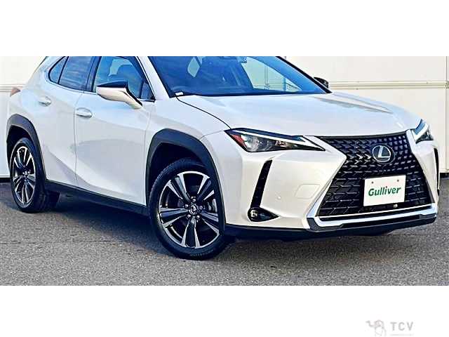 2023 Lexus Other