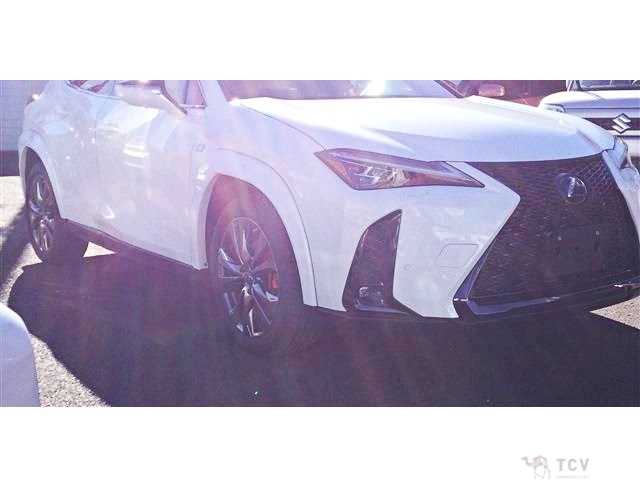 2023 Lexus Other