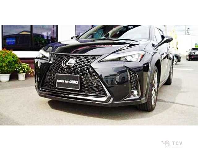 2023 Lexus Other