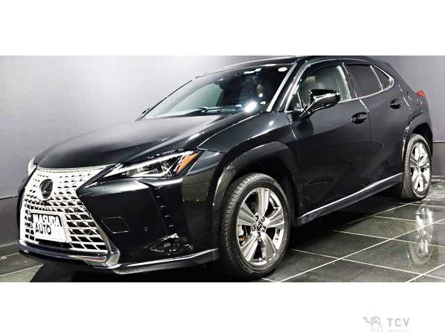 2023 Lexus Other
