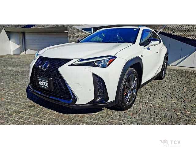 2023 Lexus Other