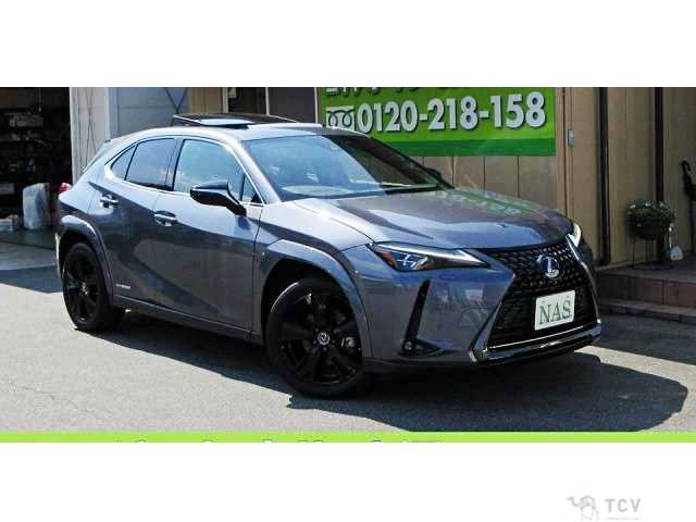 2022 Lexus Other