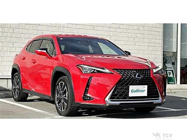 2021 Lexus Other
