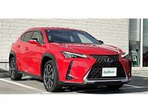 2021 Lexus Other