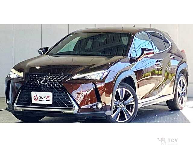 2021 Lexus Other
