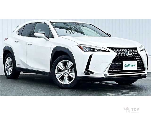 2021 Lexus Other
