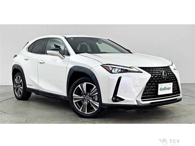 2021 Lexus Other