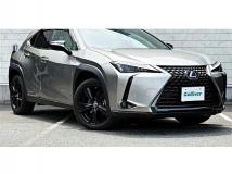 2021 Lexus Other