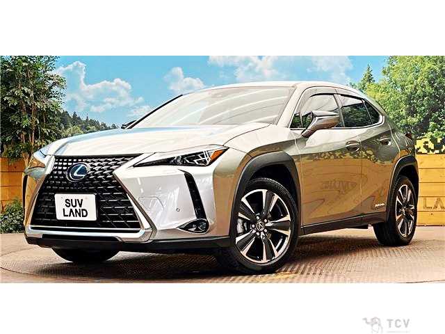 2021 Lexus Other