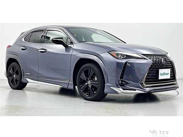 2021 Lexus Other