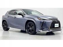 2021 Lexus Other