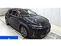 2021 Lexus Other