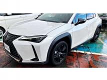 2021 Lexus Other