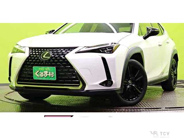 2021 Lexus Other